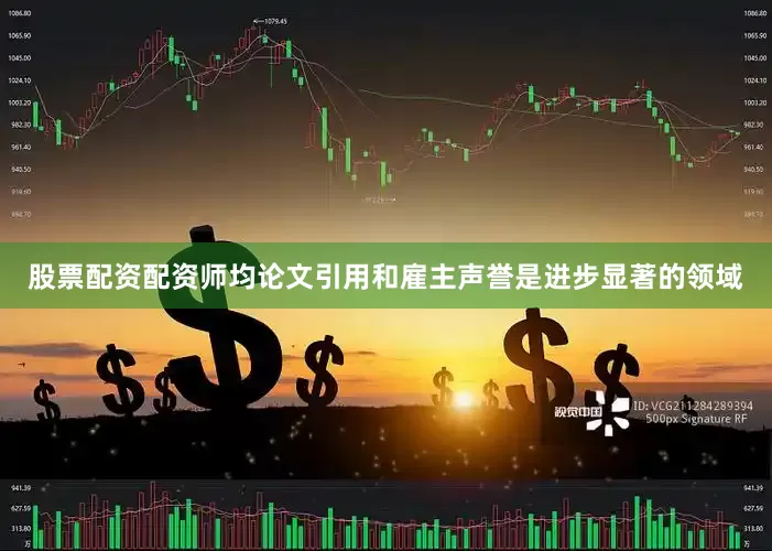 股票配资配资师均论文引用和雇主声誉是进步显著的领域